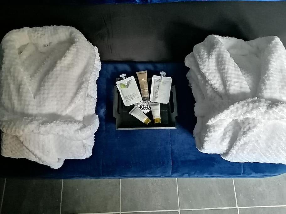 Appartement Avec Sauna Et Balneo Privatifs -Troyes Centre 외부 사진